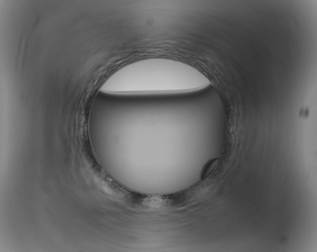 X0000113210231200909100954