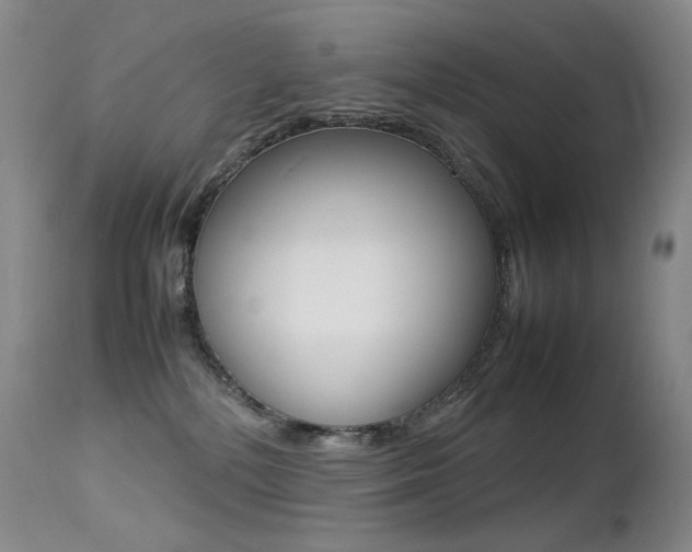 X0000113210232200909100954