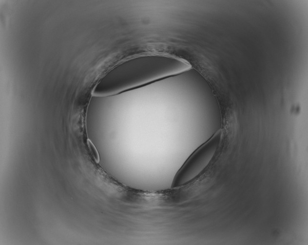 X0000113210233200909100954