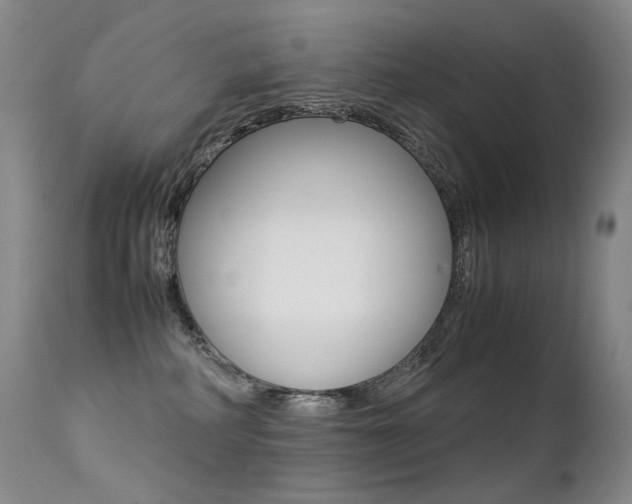 X0000113210234200909100954