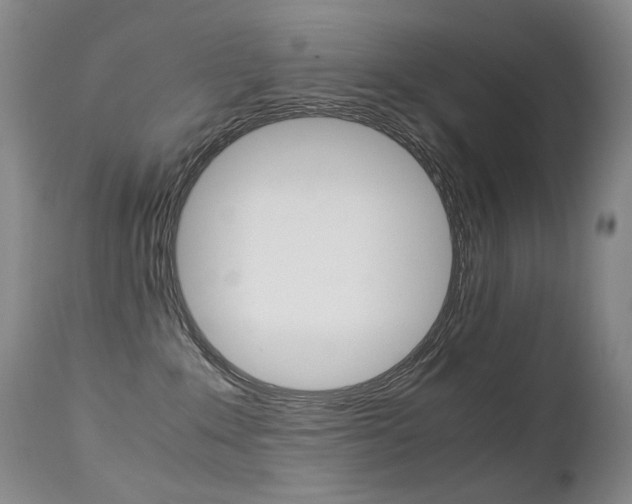 X0000113210235200909100954