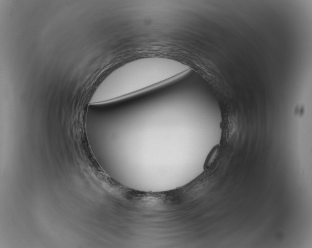 X0000113210236200909100954