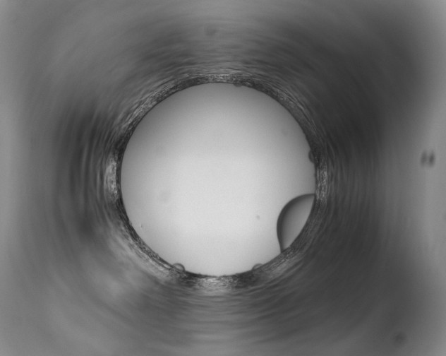 X0000113210238200909100954
