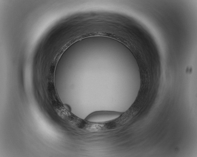 X0000113210239200909100954