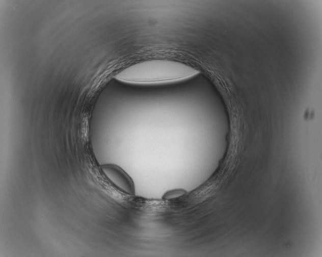 X0000113210240200909100954