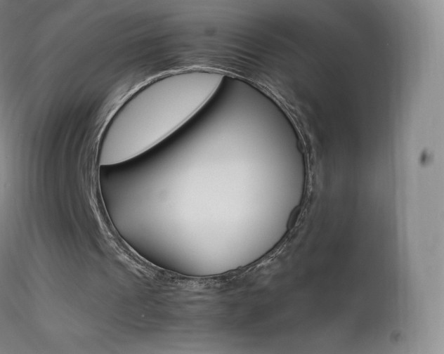 X0000113210241200909100953