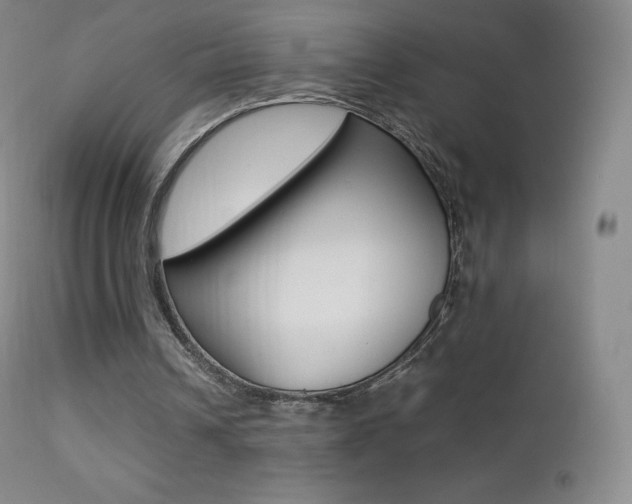 X0000113210242200909100953