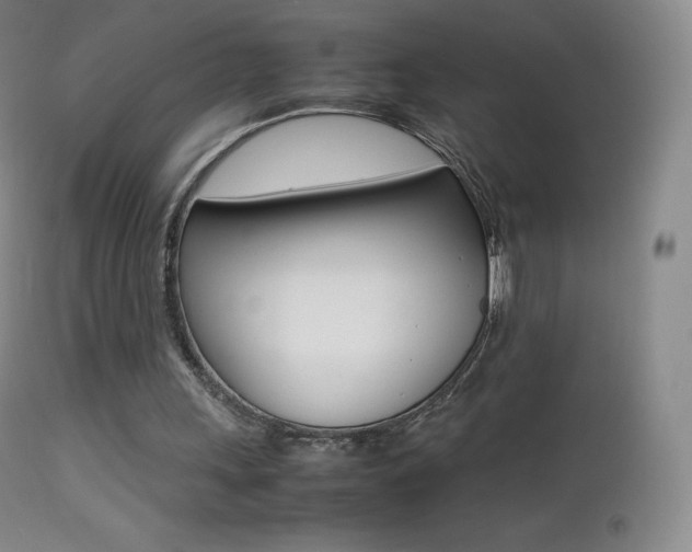 X0000113210243200909100954