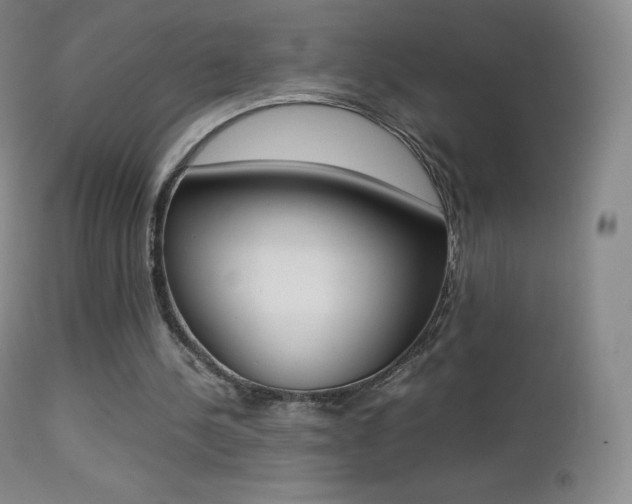 X0000113210244200909100954