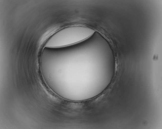 X0000113210245200909100954