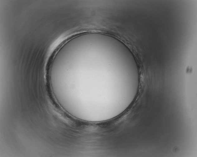 X0000113210246200909100954