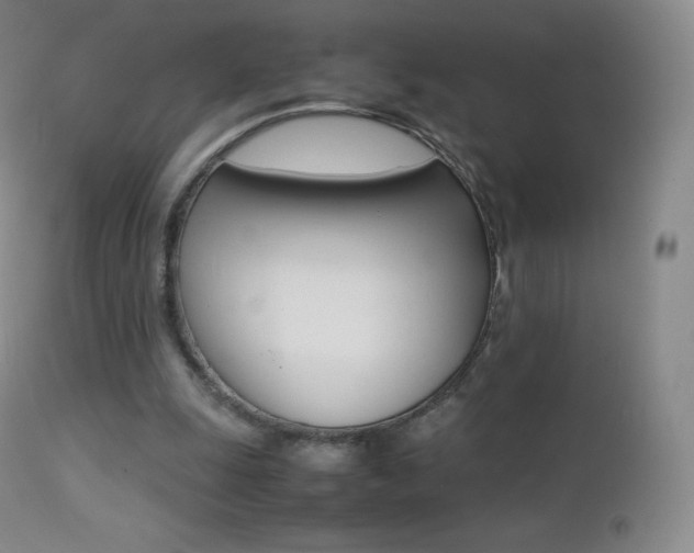 X0000113210247200909100954