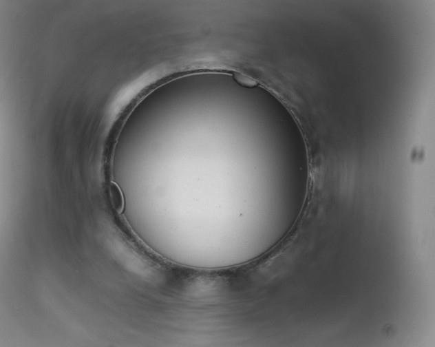 X0000113210248200909100954
