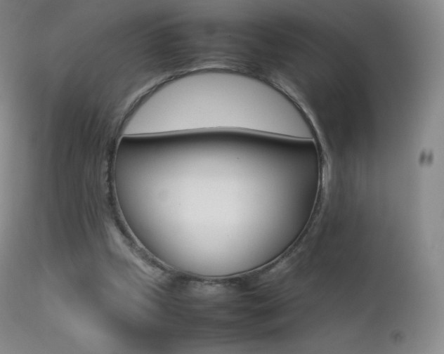 X0000113210249200909100954