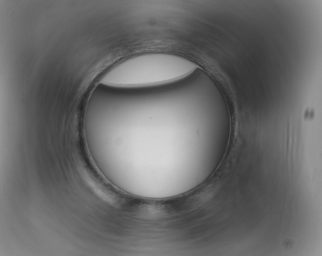 X0000113210250200909100954