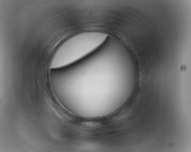 X0000113210251200909100954