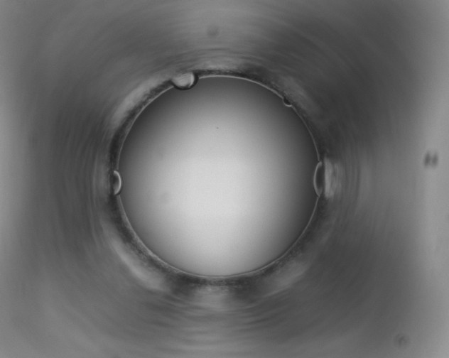 X0000113210252200909100954