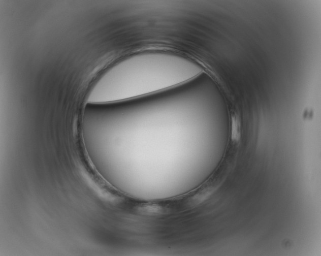X0000113210253200909100954