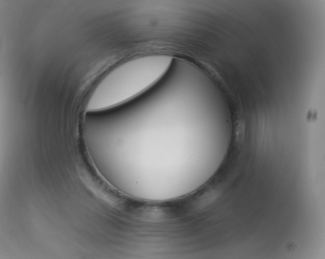 X0000113210254200909100954