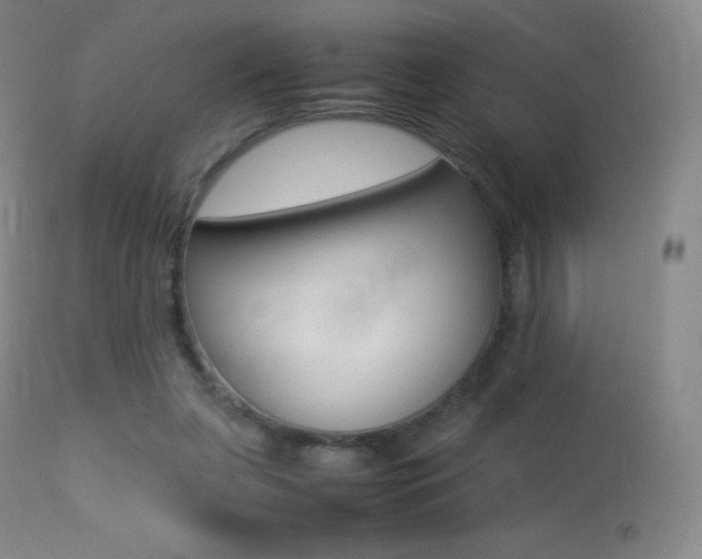 X0000113210255200909100954