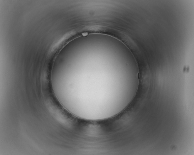X0000113210256200909100954