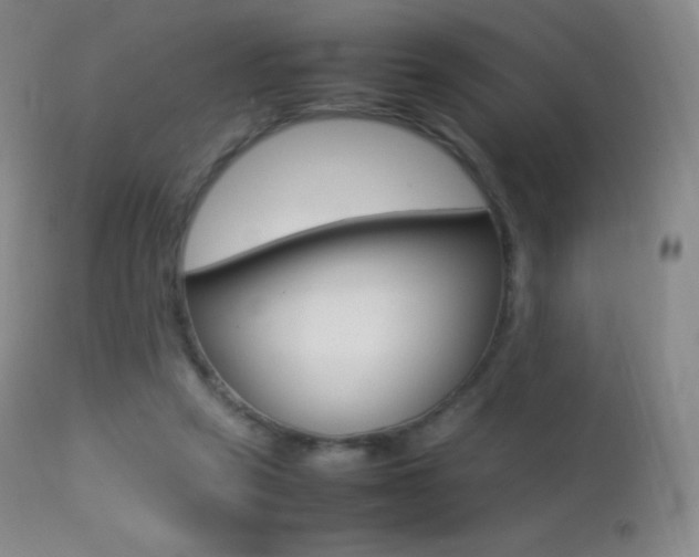 X0000113210257200909100954