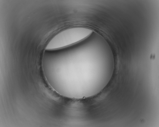 X0000113210258200909100954