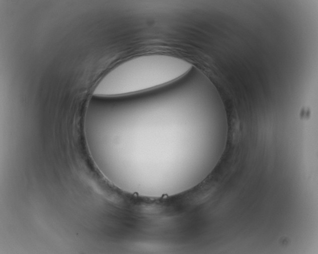 X0000113210259200909100954