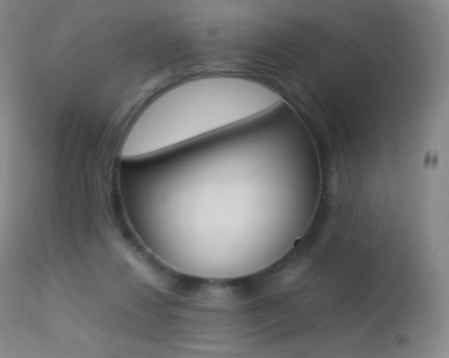 X0000113210260200909100954