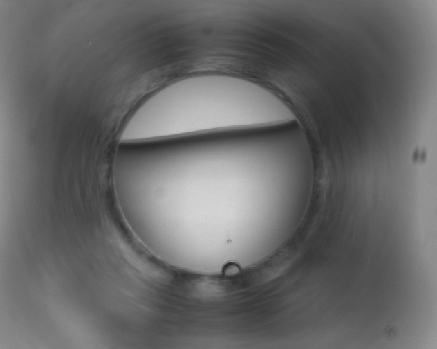 X0000113210261200909100954