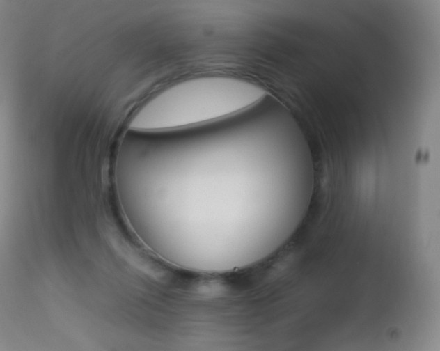 X0000113210262200909100954