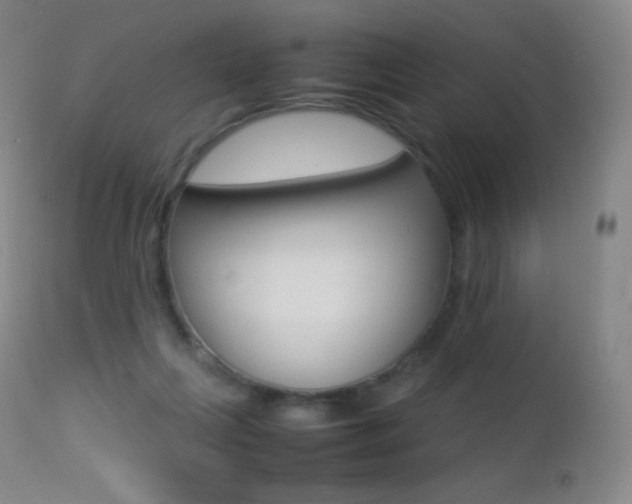 X0000113210263200909100954