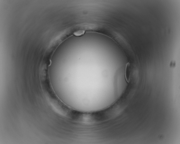 X0000113210264200909100954