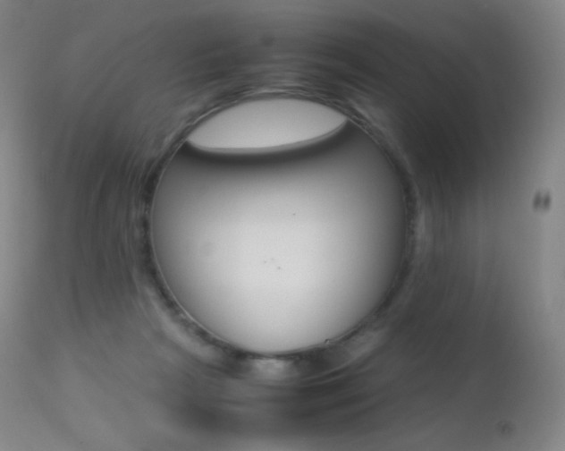 X0000113210265200909100954
