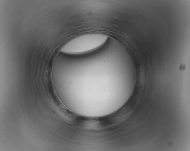 X0000113210266200909100954