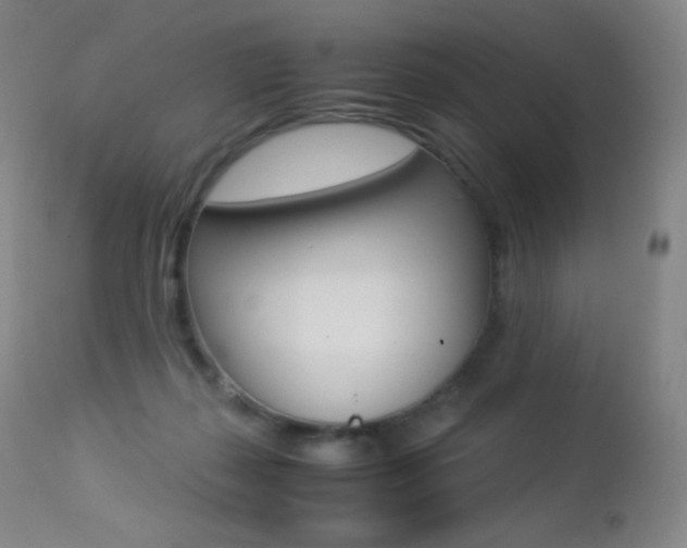 X0000113210267200909100954