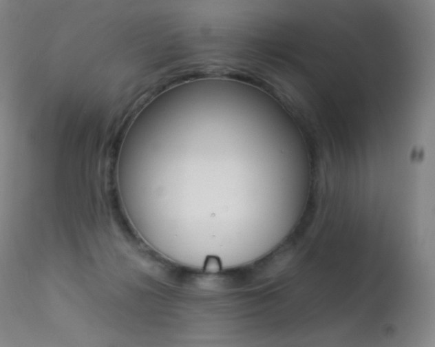 X0000113210268200909100954