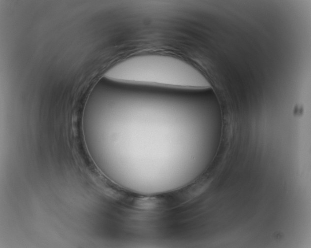 X0000113210269200909100954
