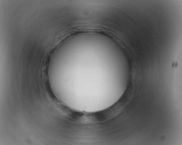 X0000113210270200909100954
