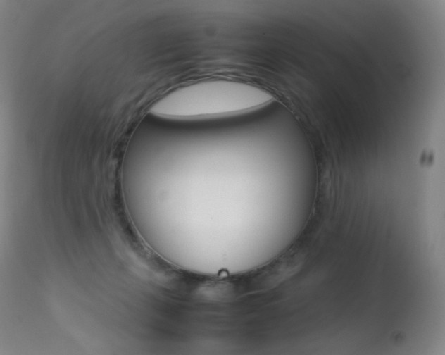 X0000113210271200909100954