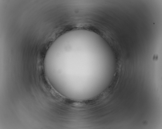X0000113210272200909100954