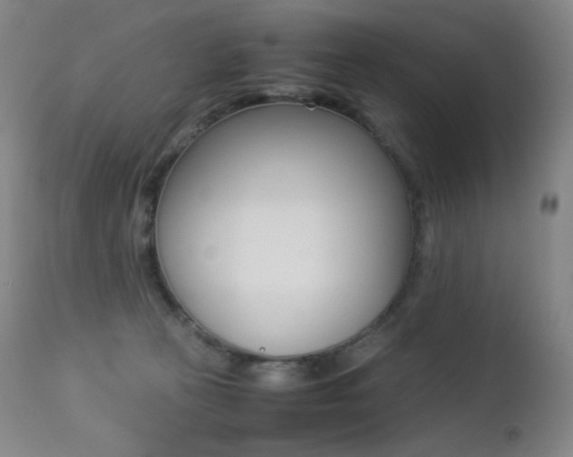 X0000113210273200909100954