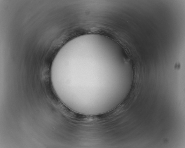 X0000113210274200909100954