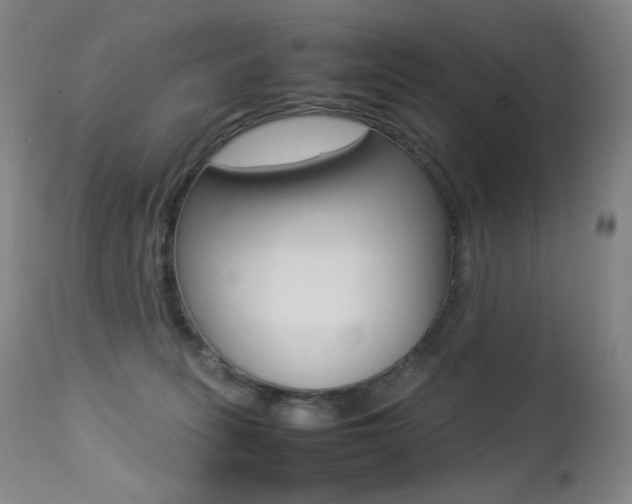 X0000113210275200909100954