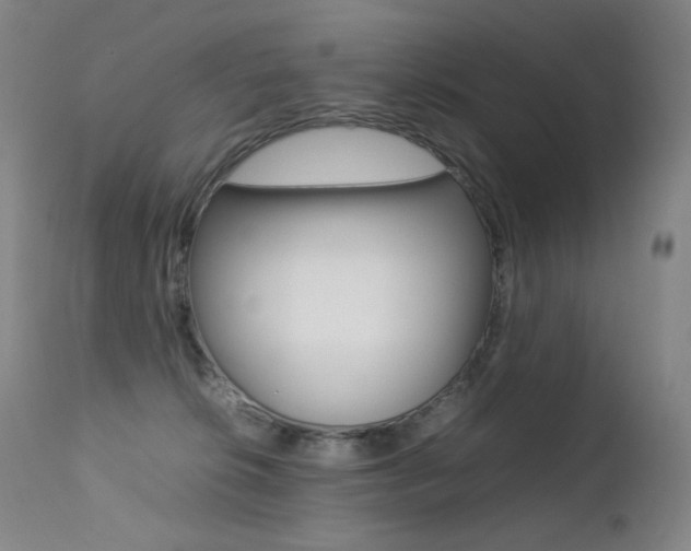 X0000113210276200909100954
