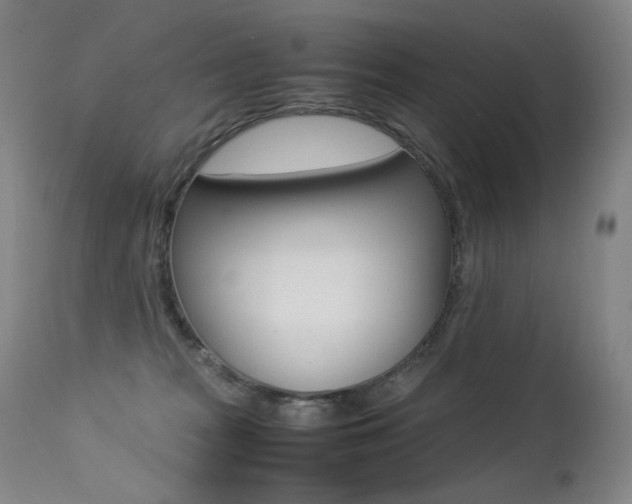 X0000113210277200909100954