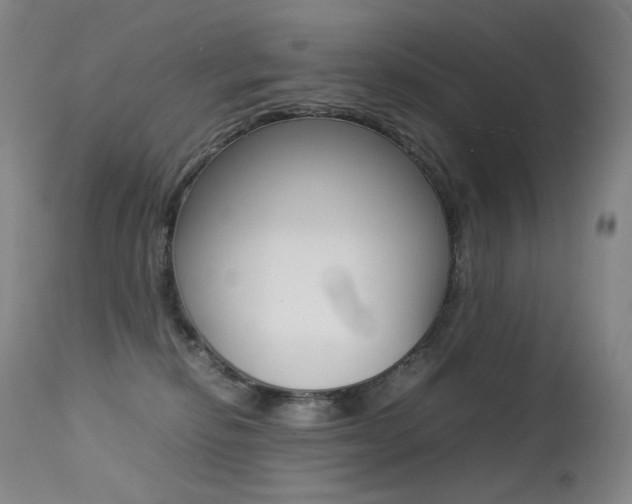 X0000113210278200909100954