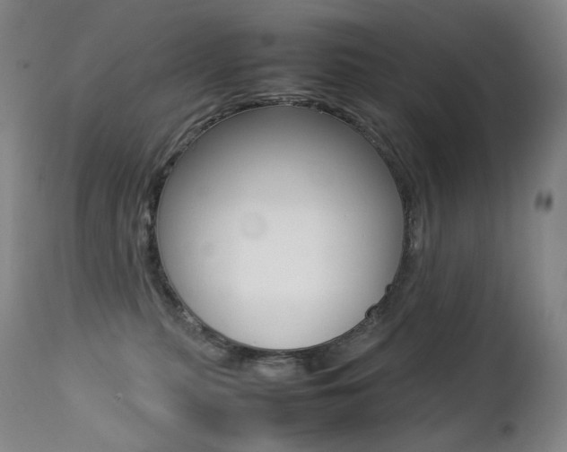 X0000113210279200909100954
