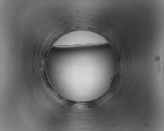 X0000113210280200909100954