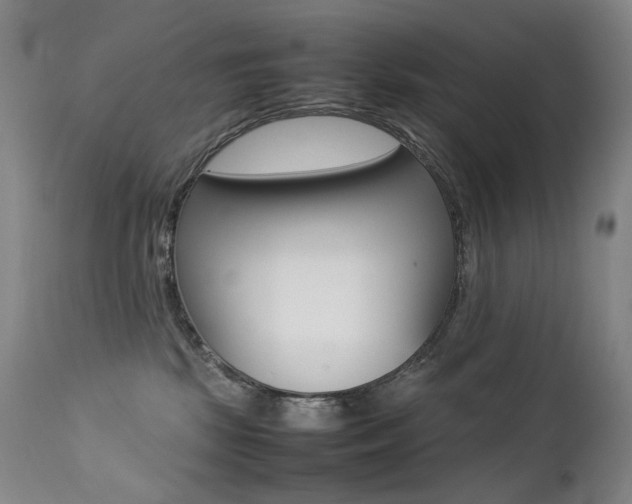 X0000113210281200909100954